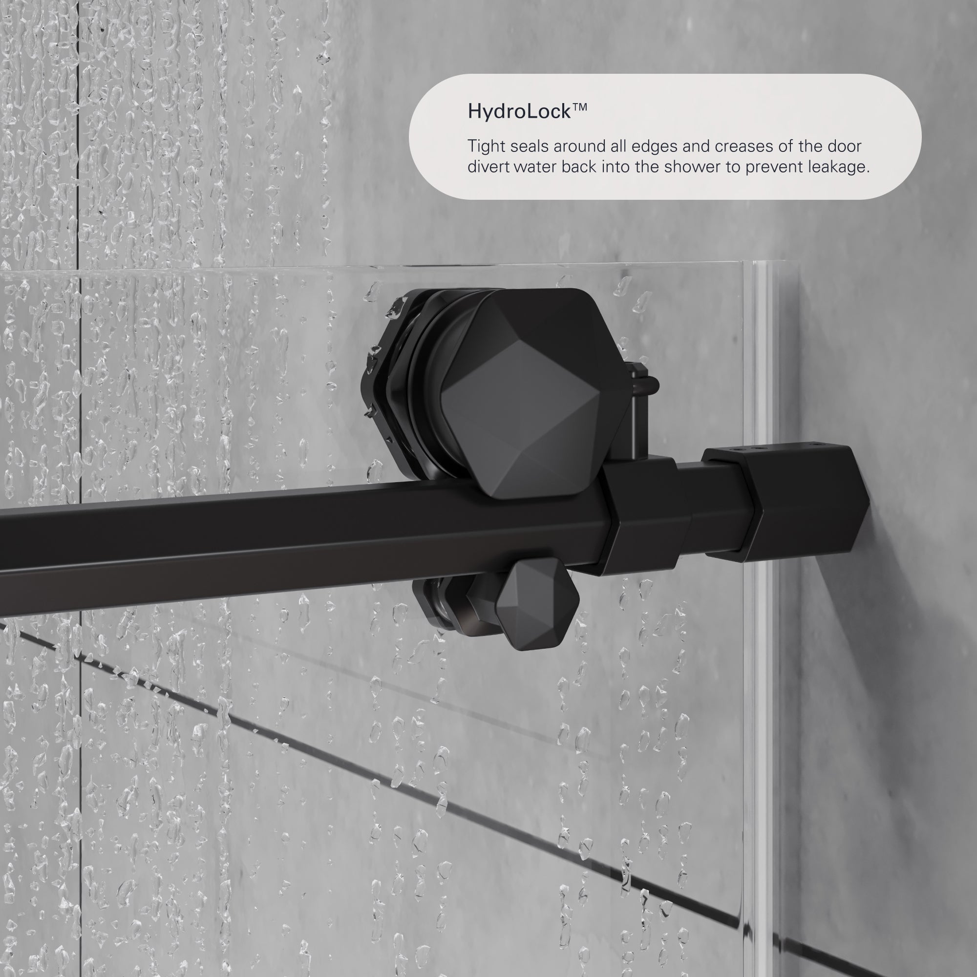 Diamond Frameless Sliding Shower Door