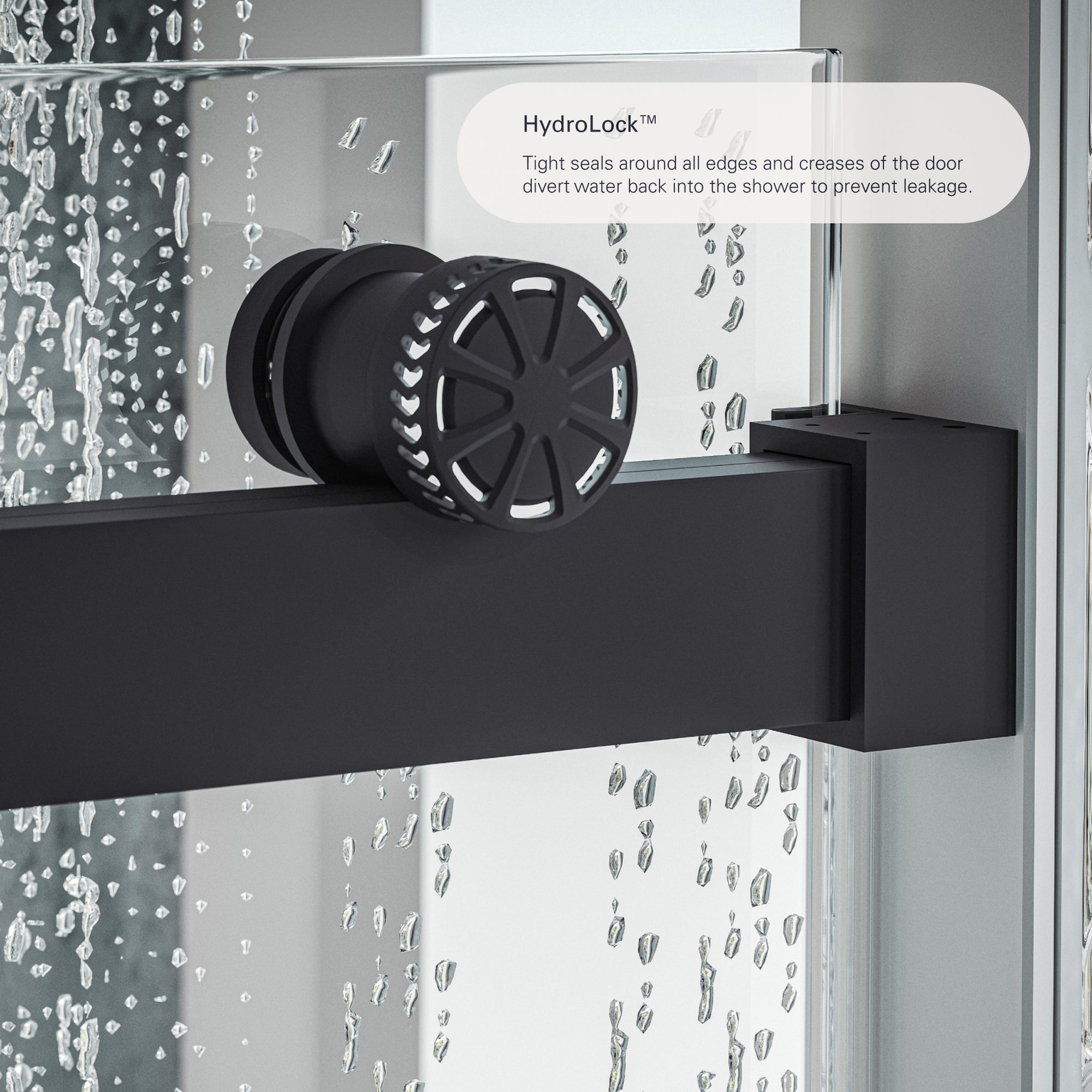 Runway Frameless Sliding Shower Door